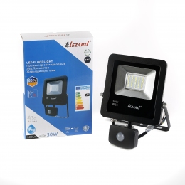 Прожектор Lezard LED д/р 30 W IP65 6500K 2400lm алюм/кор